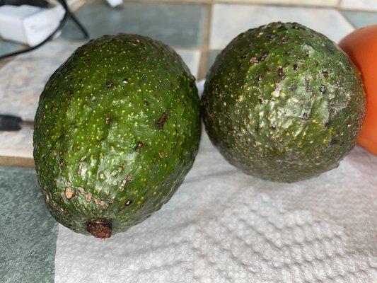 Avocados