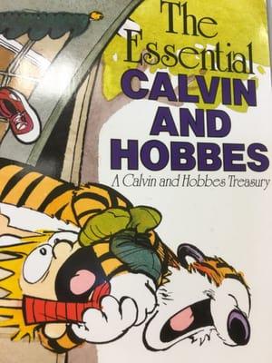 I LOVE Calvin And Hobbes!!