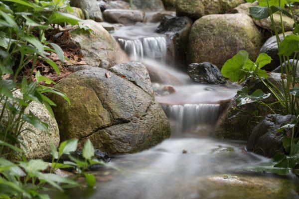 Waterfall Dream