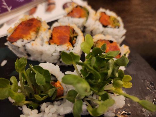 Spicy Tuna rolls