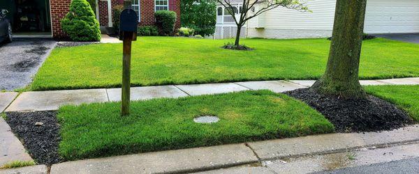 Street view. New mulch, nice edging.