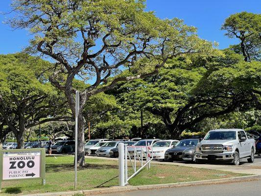 Honolulu Zoo Parking Lot