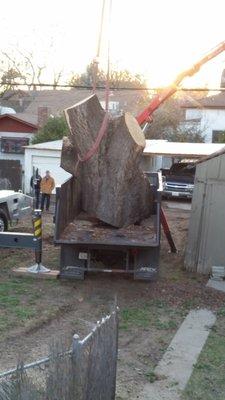 Rather large piece of oak