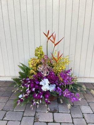 Tropical arrangement