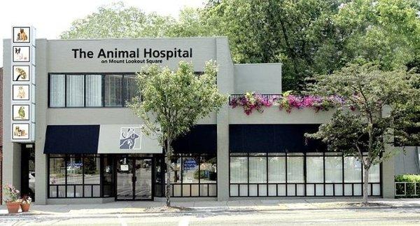 Animal Hospital On Mt Lookout Sq