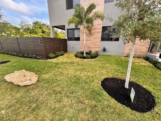 Moved a palm tree that builder had planted much too close to the house. Fixed severe fence damage from some dude on opiates that smashed it.