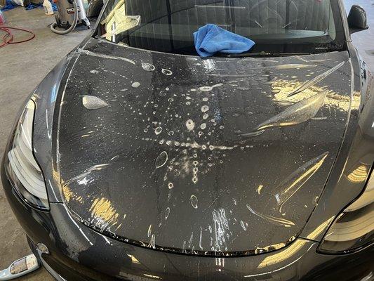 Paint protection film application