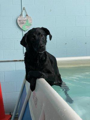 Jaxon just comes to party in the pool