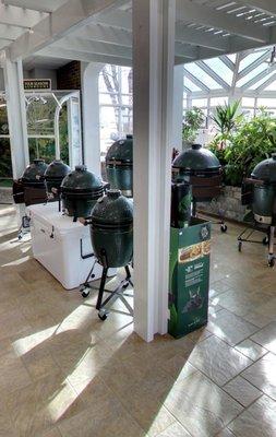 Green egg section