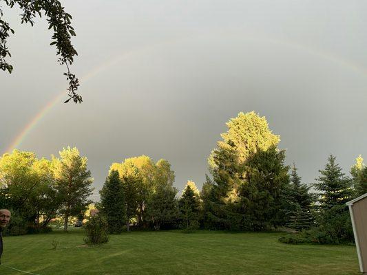 The back yard after a rain at sunset.