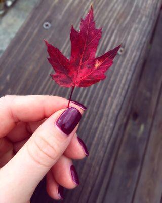 Fall is in the air! I am absolutely loving this nail color from Cashmere Nail & Brow!