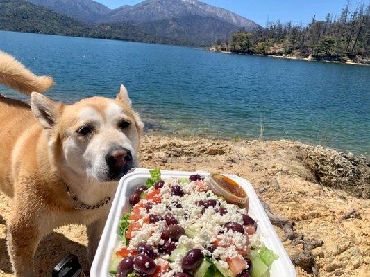 Thor approved. Greek salad to go and enjoyed at Whiskeytown lake!