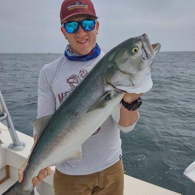 Bluefish on light tackle. Truly exciting!!