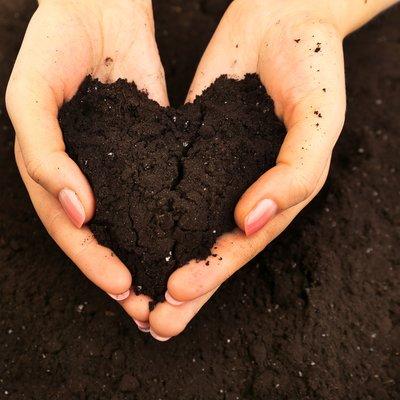 soil nutrition and bioremediation