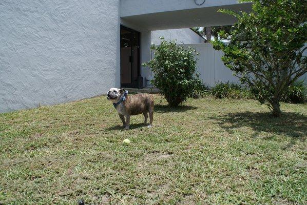 Merritt Animal Clinic