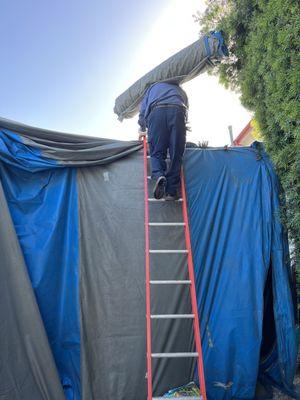 Putting termite tent tarps on the house