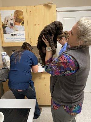 Prineville Veterinary Clinic