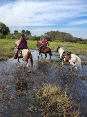 Trail rides