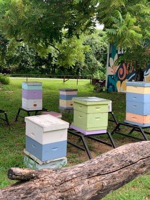 Bee boxes