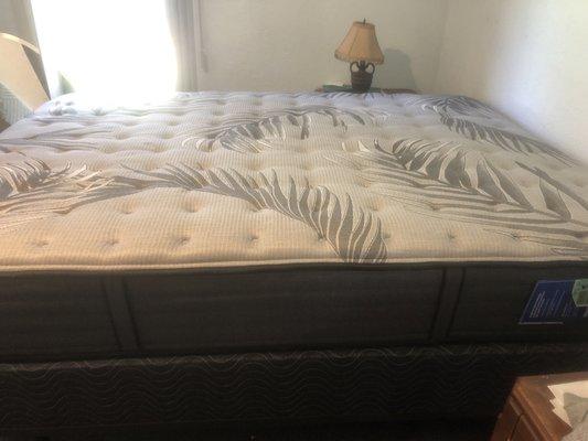 Sealy Posturpedic Plus Determination II Ultra Firm -in Love !