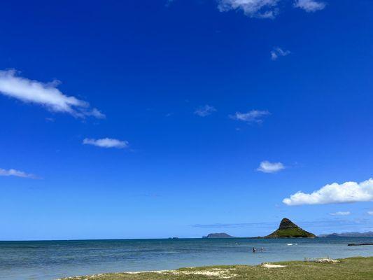 Picnic right in front of the ocean!