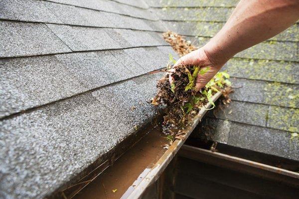 Gutter Cleaning Service