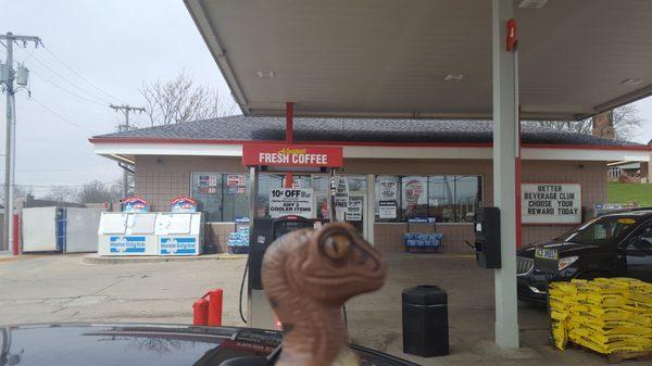 Bob the Raptor says "Cars come here to get a drink."