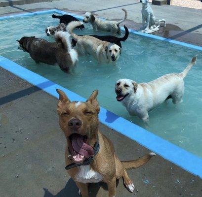 Pool Party!