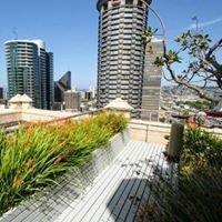 Dental Clinic with a rooftop garden