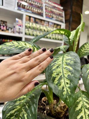 OPI Brown to Earth