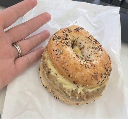 Everything Bagel Sandwich