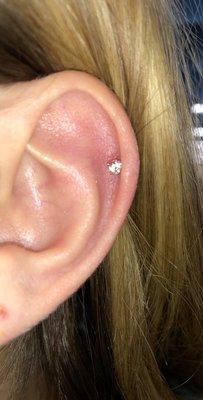 cartilage ( helix piercing ) with a rose gold stud