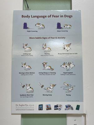 Body Language of Fear in Dogs