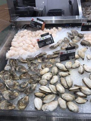 Fresh oysters for an afternoon snack!!