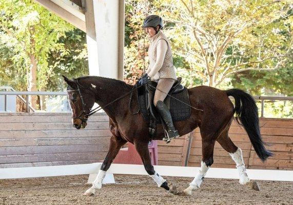 Valley Oaks  Mounted Biomechanics Clinic