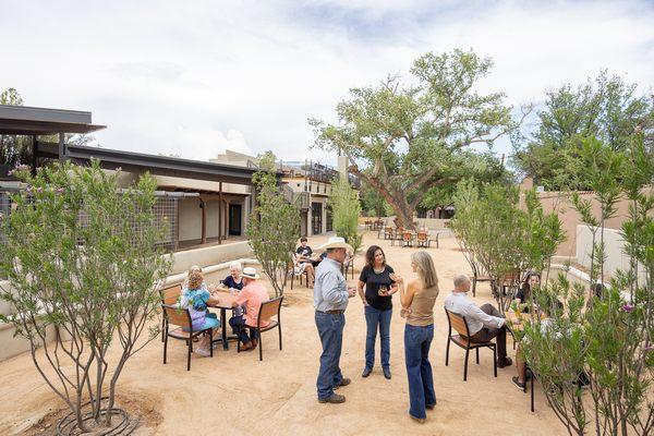 Desert Willows and Ornamental Pear trees join our ancient Cottonwood.