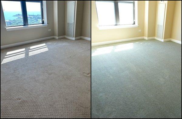 South Loop Carpet Replacement - DECADENT CHARM II BAY LEAF