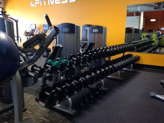 Large free weight section, with Hammer Strength equipment.