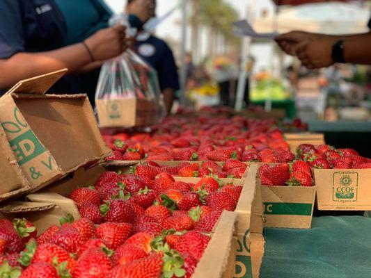 Fairfield Farmers' Market