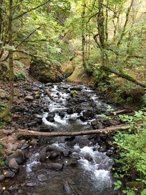 On the Bridal Veil trail