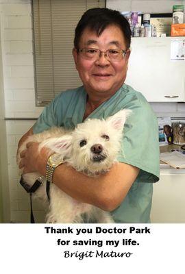 Mere words can not express my gratitude to Dr. Park for making my Brigit well.