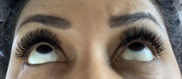 Lashes by Elizabeth