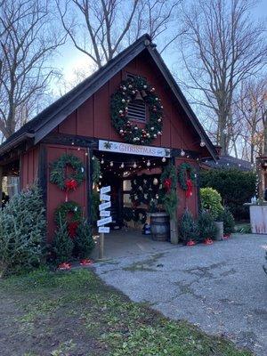 Hemlock farm christmas trees