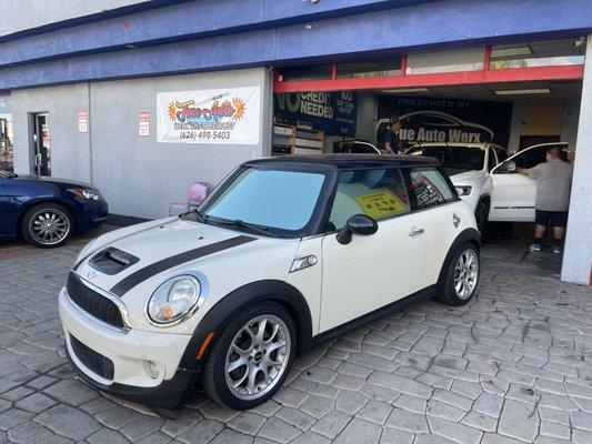 Neo silver tint on mini cooper