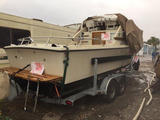 Termites can eat your BOAT!!!