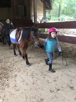 A girl getting ready to ride this pony, Travis.