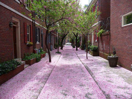 Spring in Philadelphia