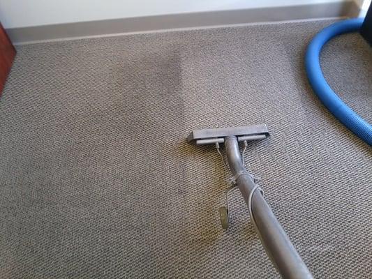 CARPET CLEANING