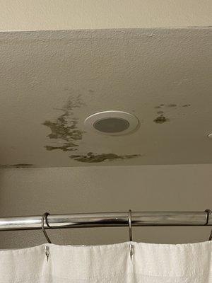 Mold in my bathroom