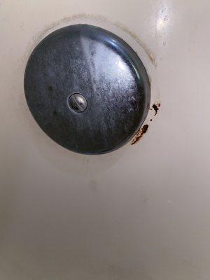 Blood/Mold in shower